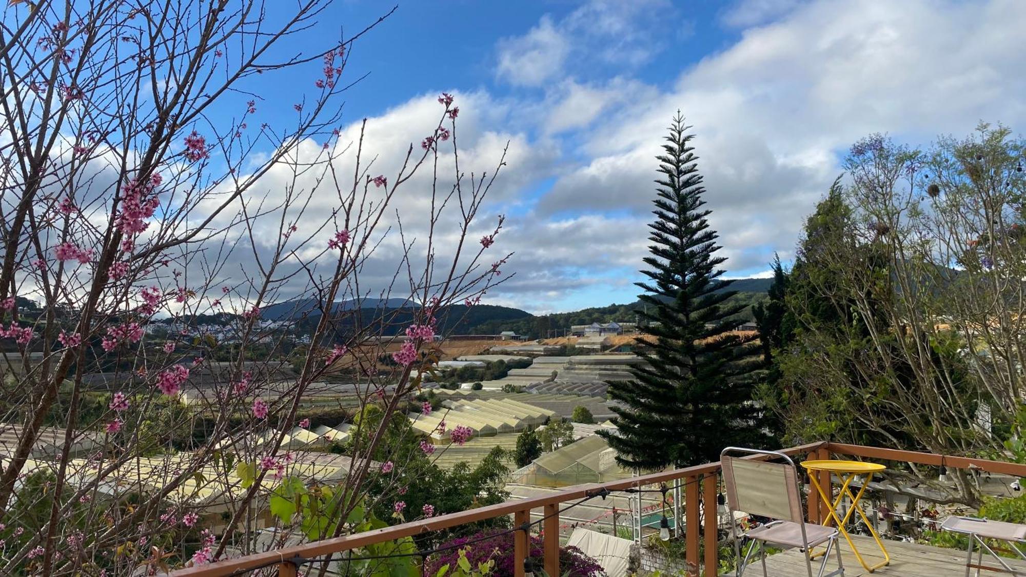 Mala Home & Coffee Dalat Bagian luar foto