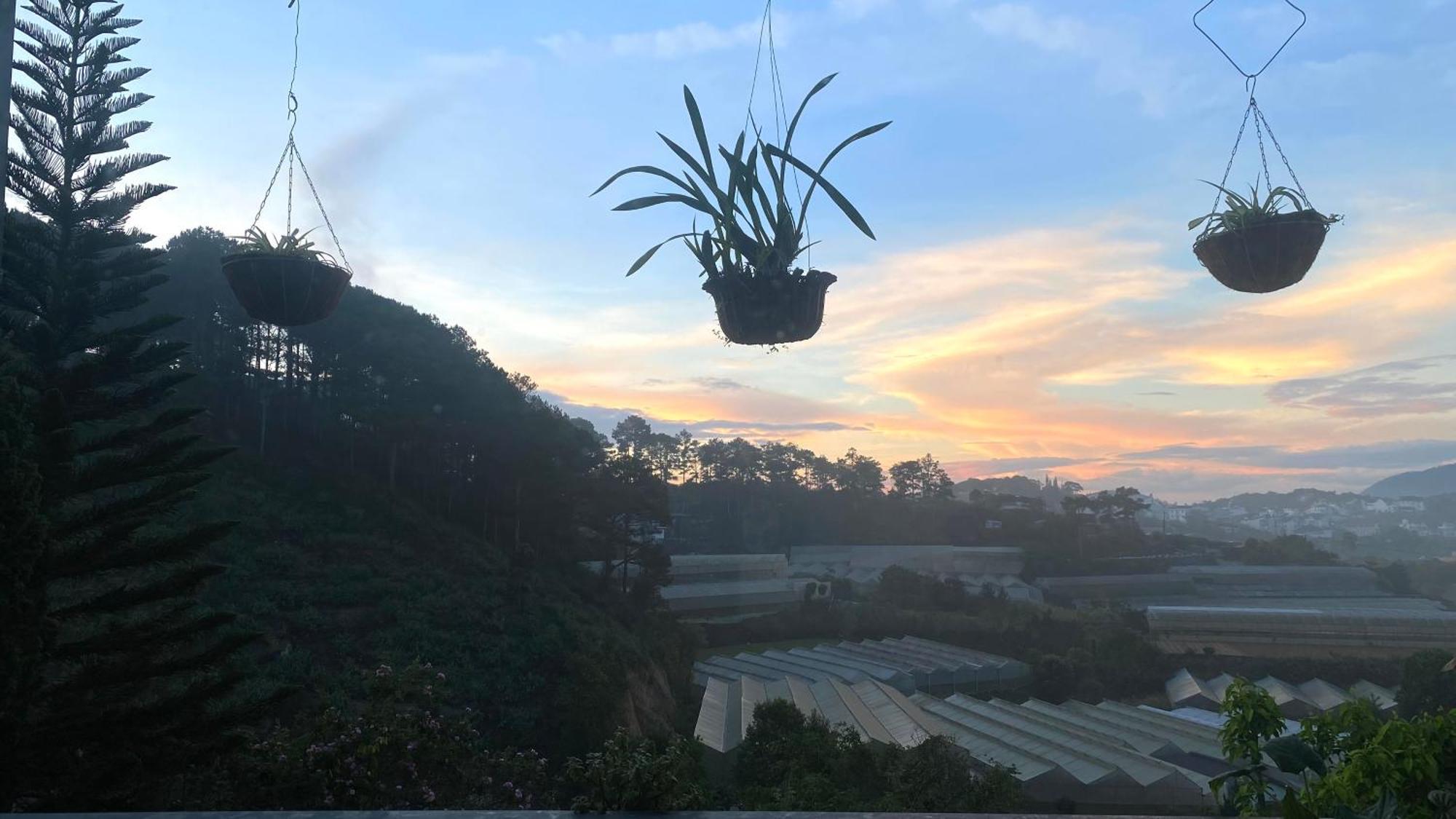 Mala Home & Coffee Dalat Bagian luar foto